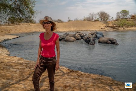 Elisabeth Dancet Documentary Web Series Animal Protection Elephant Protection